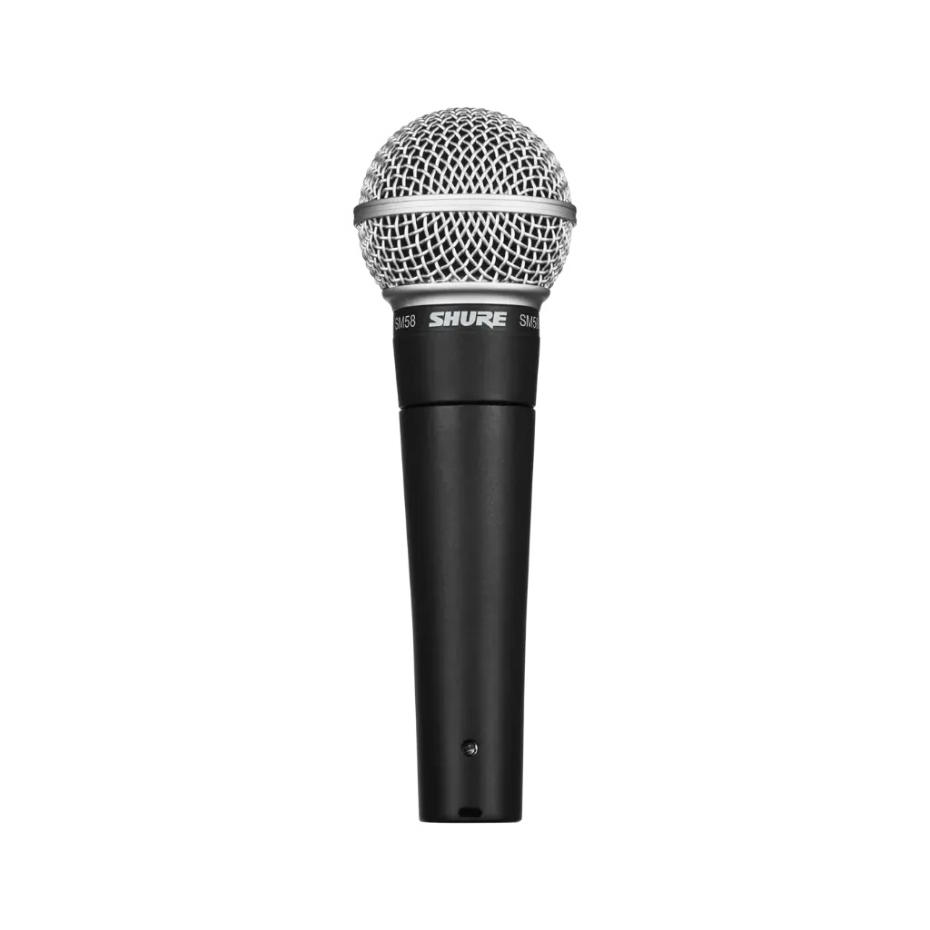 Microfono Profesional